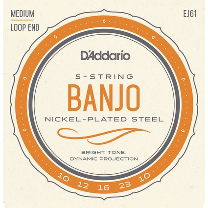 D'addario EJ61 5-String Banjo Set (50203)