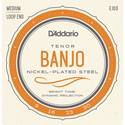 D'addario EJ63 4-String Tenor Banjo Strings (50210)